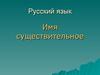 Имя существительное