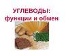Углеводы: функции и обмен