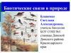 Биотические связи в природе