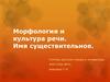Морфология и культура речи. Имя существительное