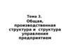 Общая, производственная структура и структура управления предприятием. (Тема 3)