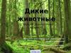 Жизнь диких животных