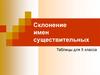 Склонение имен существительных