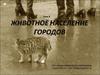 Взаимоотношения человека и животных в современных городах. (Тема 8)