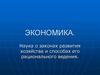 Роль экономики в жизни общества