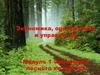 Экономика, организация и управление. Модуль 1. Экономика лесного хозяйства