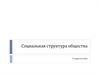 Социальная структура общества