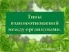 Типы взаимоотношений между организмами