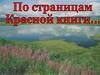 Красная книга