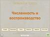 Численность и воспроизводство населения России