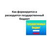 Государственный бюджет