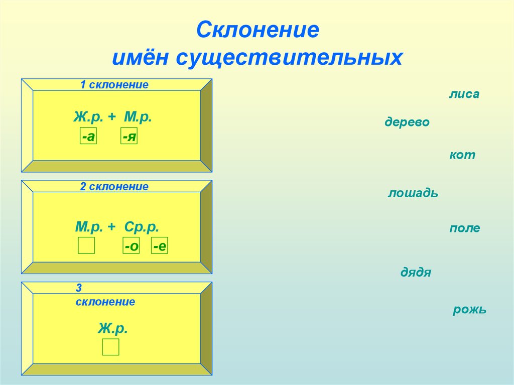 Склонение имён существительных
