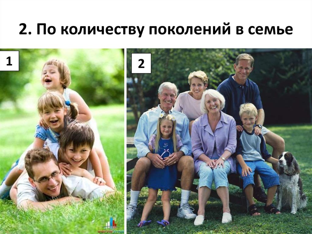 2. По количеству поколений в семье