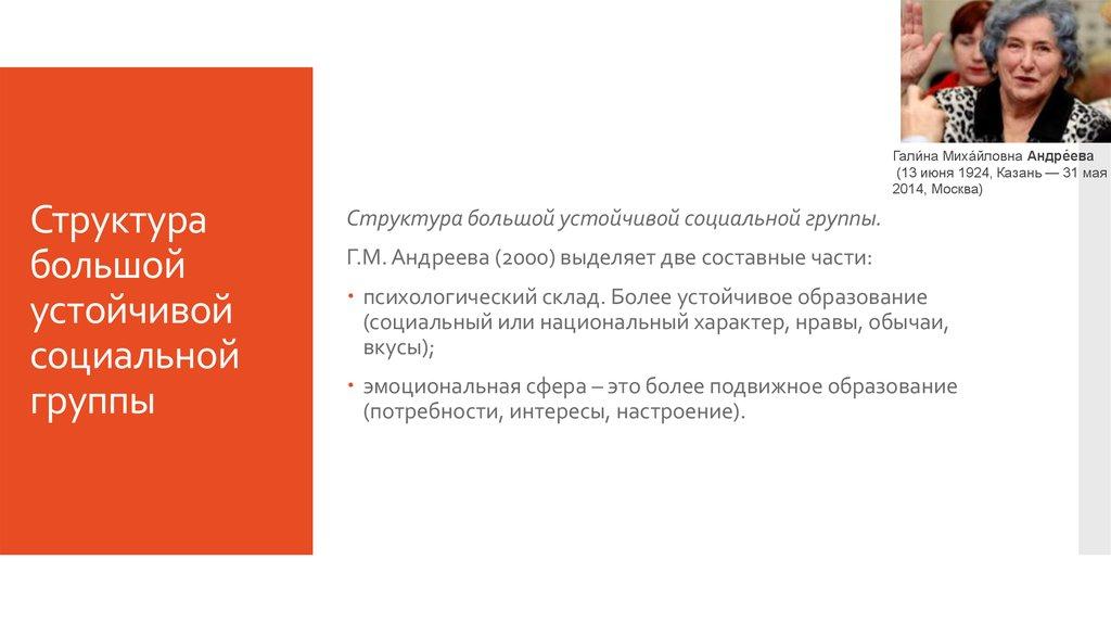 Структура большой устойчивой социальной группы