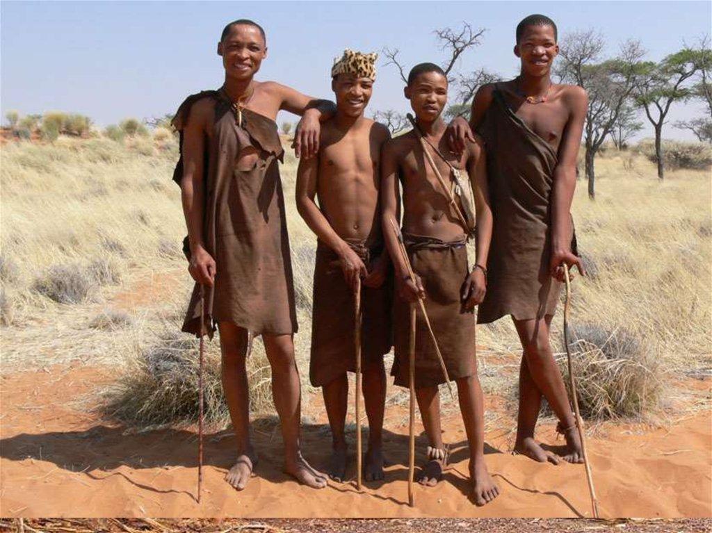 Бушмены