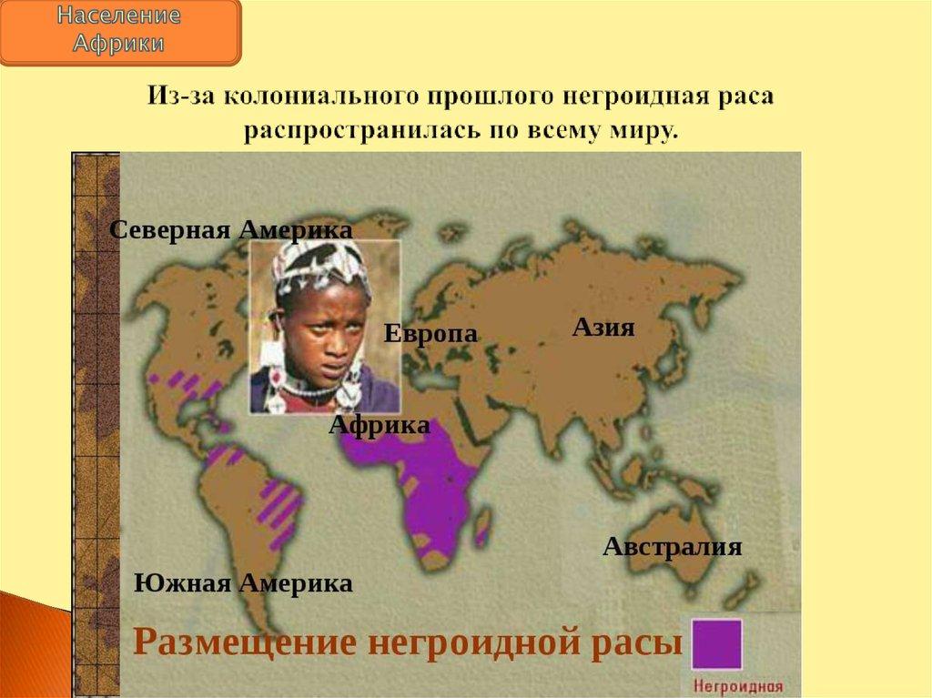 Из-за колониального прошлого негроидная раса распространилась по всему миру.