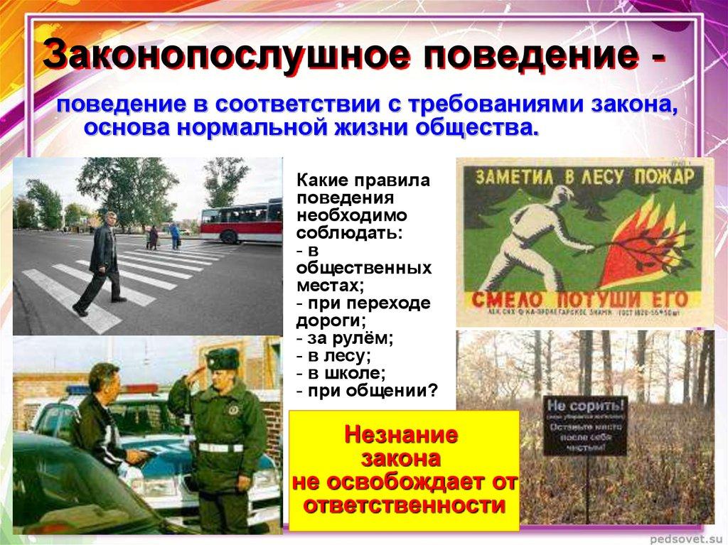 Законопослушное поведение -