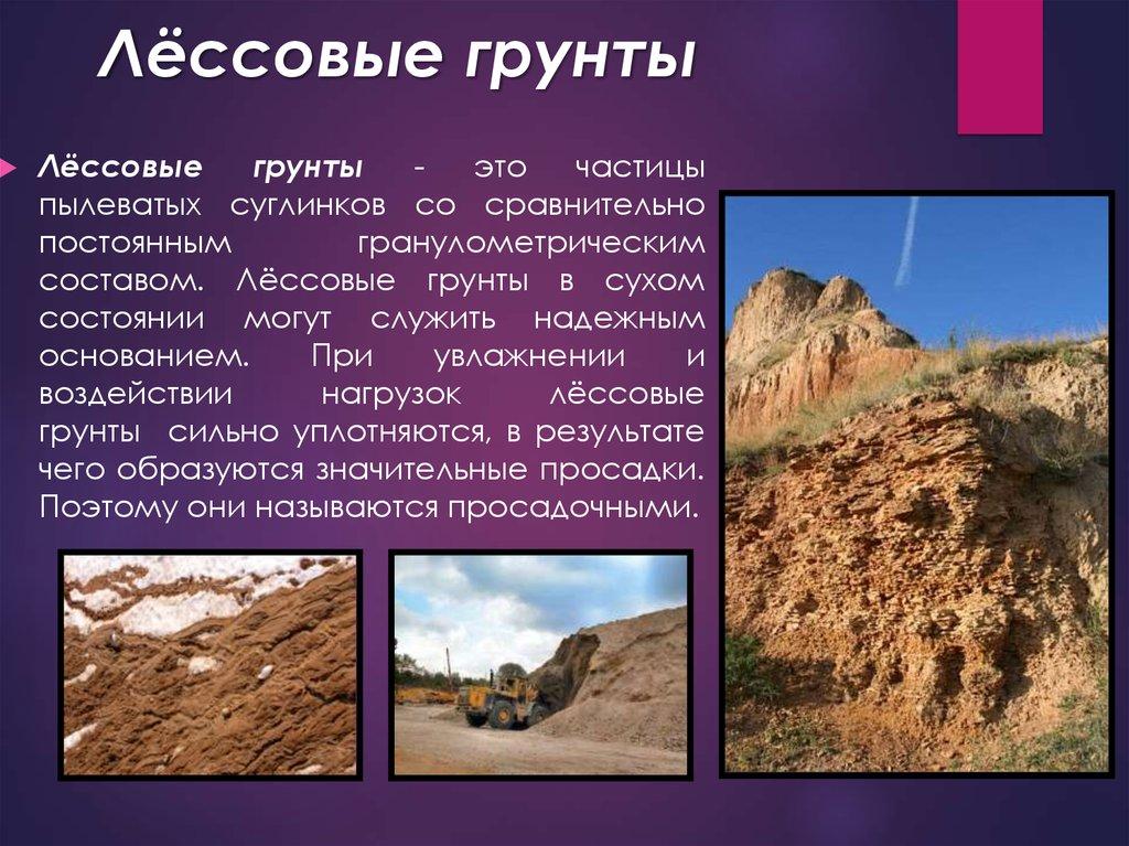 Лёссовые грунты