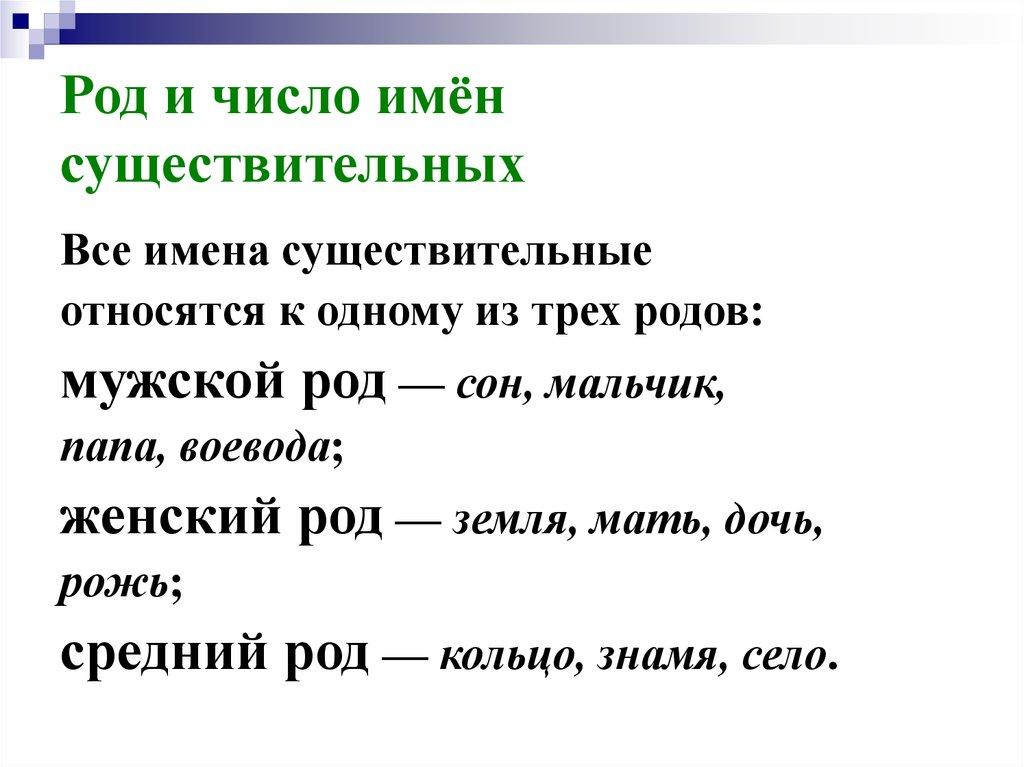 Род и число имён существительных