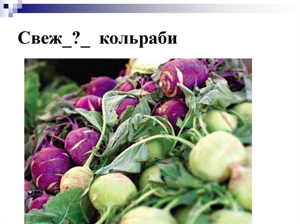 Свеж_?_ кольраби