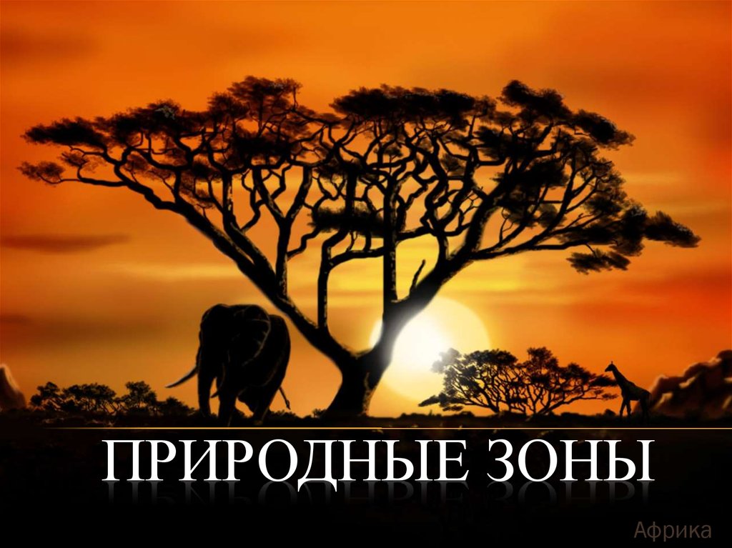 Природные зоны