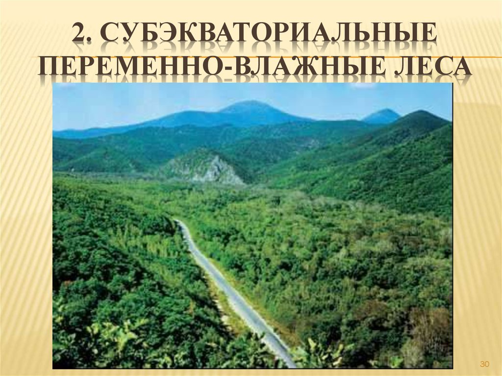 2. Субэкваториальные переменно-влажные леса