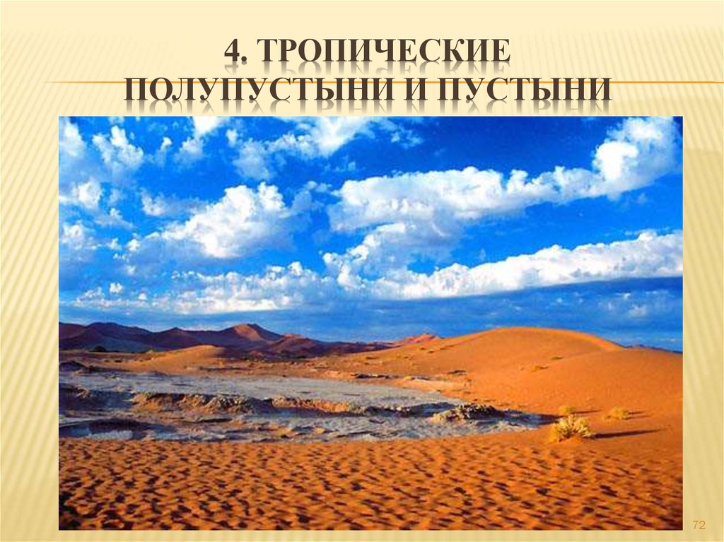 4. Тропические полупустыни и пустыни