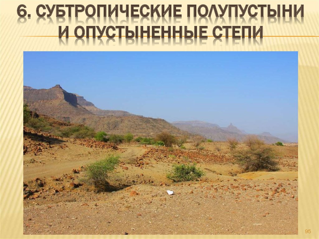 6. Субтропические полупустыни и опустыненные степи