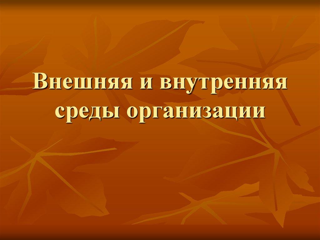 Внешняя и внутренняя среды организации