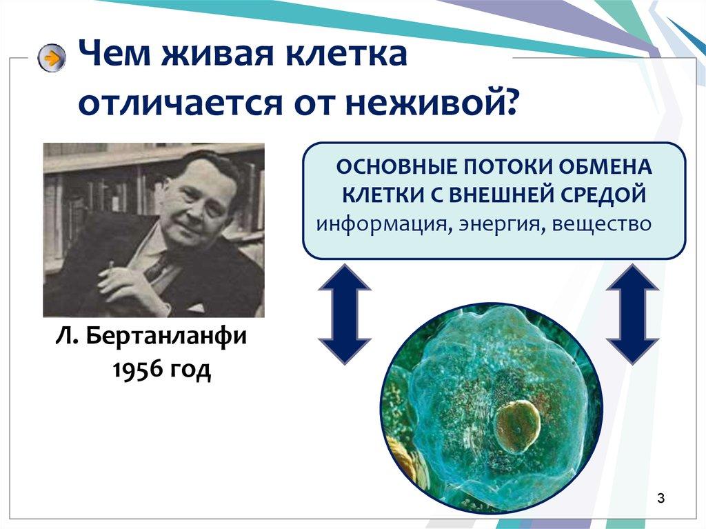Чем живая клетка отличается от неживой?