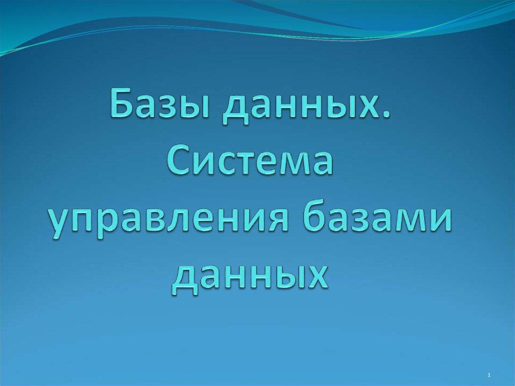 Базы данных. Система управления базами данных