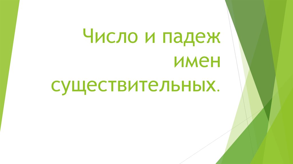 Число и падеж имен существительных.