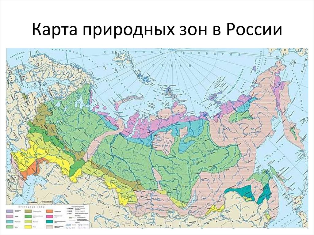 Карта природных зон в России