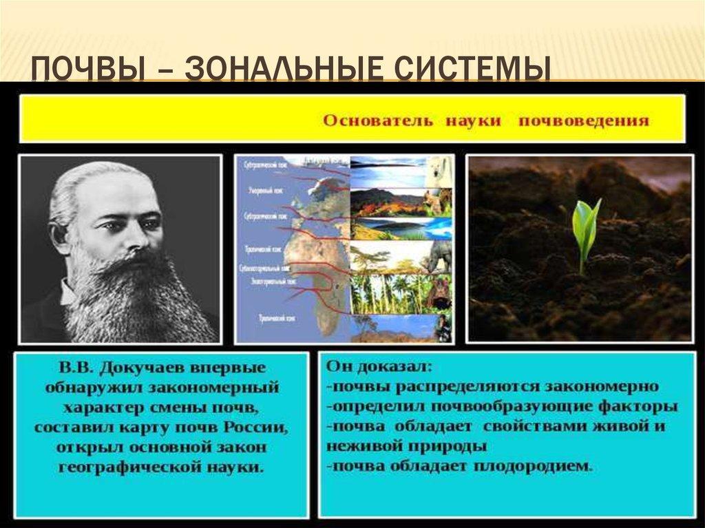 Почвы – зональные системы