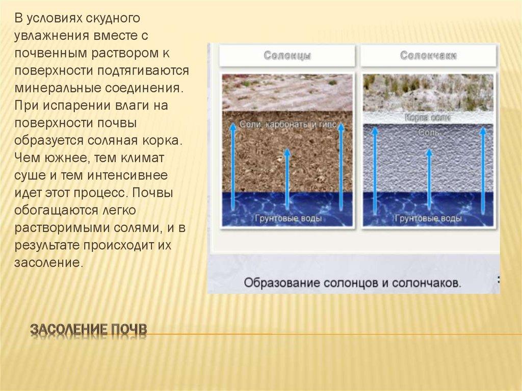 Засоление почв