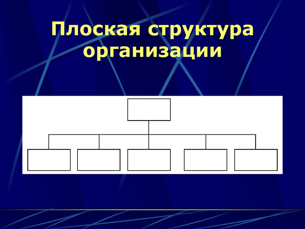 Плоская структура организации