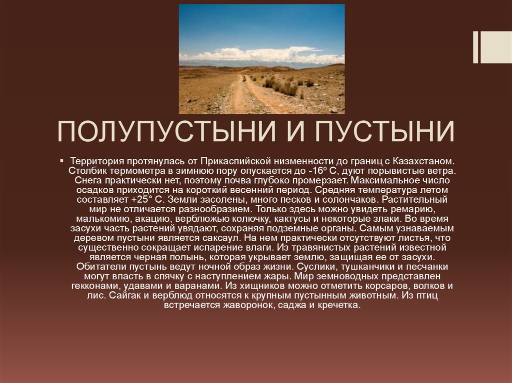 ПОЛУПУСТЫНИ И ПУСТЫНИ