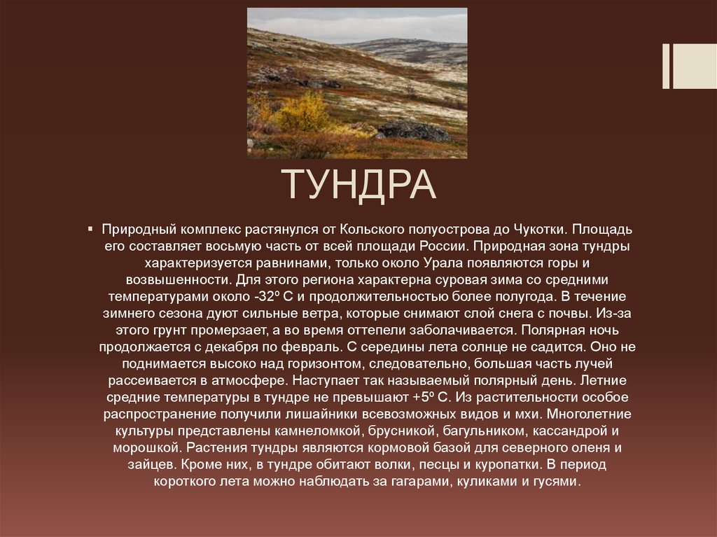 ТУНДРА