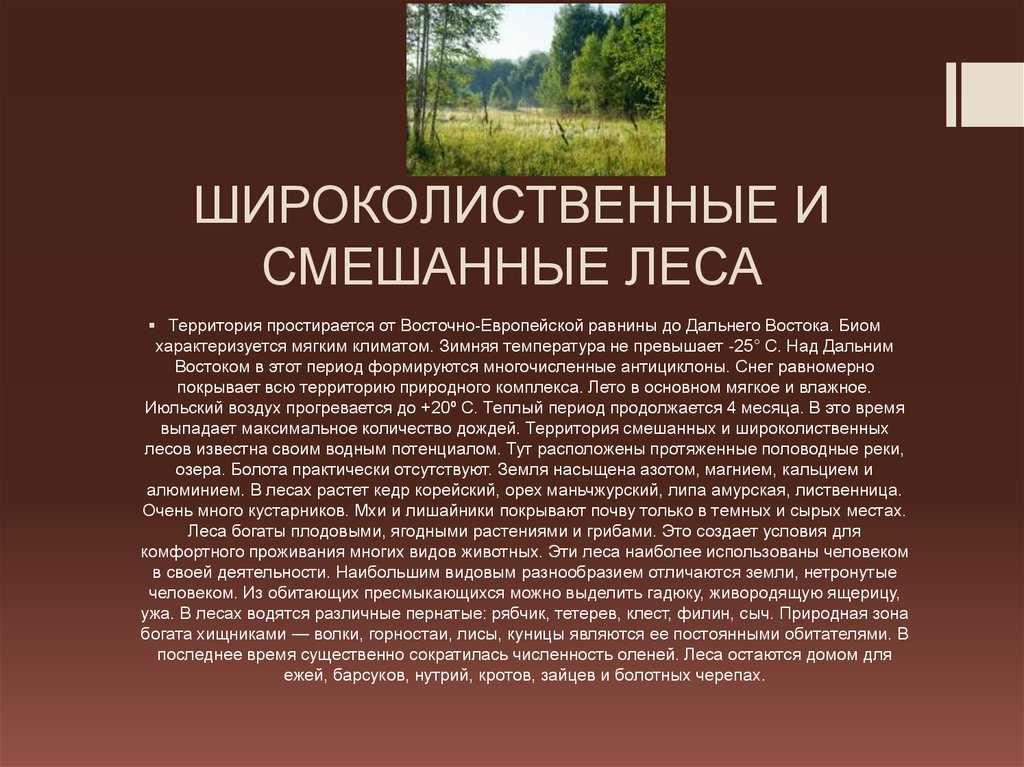 ШИРОКОЛИСТВЕННЫЕ И СМЕШАННЫЕ ЛЕСА