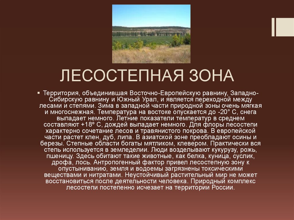 ЛЕСОСТЕПНАЯ ЗОНА