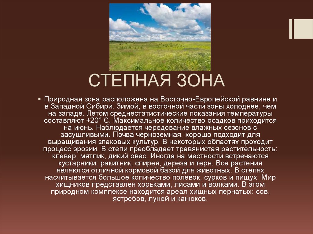 СТЕПНАЯ ЗОНА