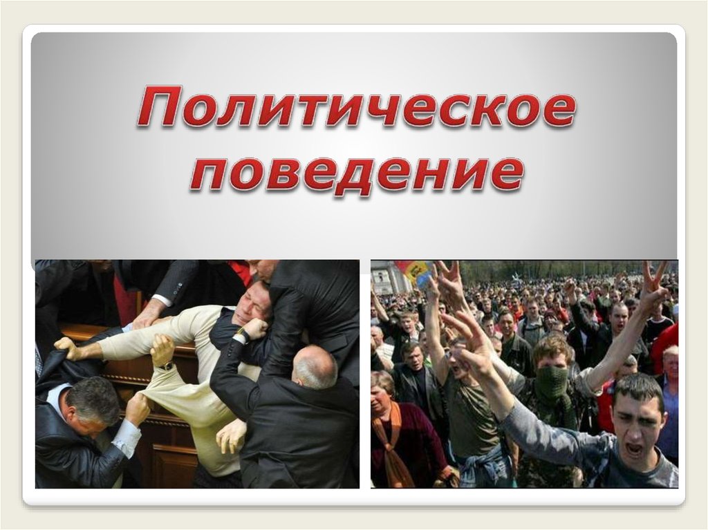 Политическое поведение