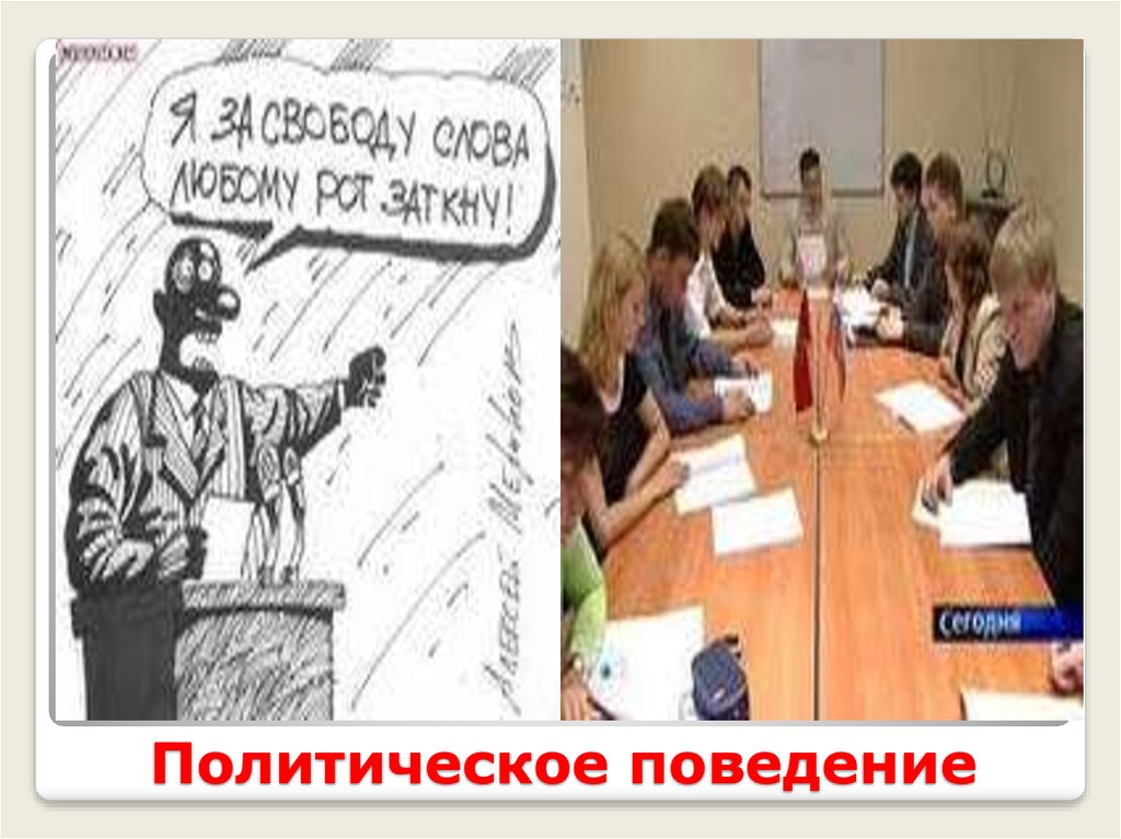 Политическое поведение