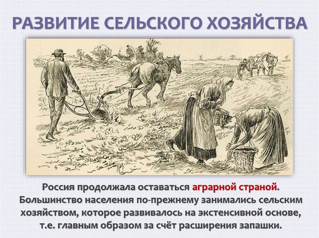 РАЗВИТИЕ СЕЛЬСКОГО ХОЗЯЙСТВА