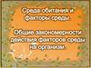 Среда обитания и факторы среды