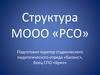 Структура МООО «РСО»