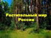 Растительный мир России