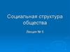 Социальная структура общества