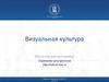 Визуальная культура