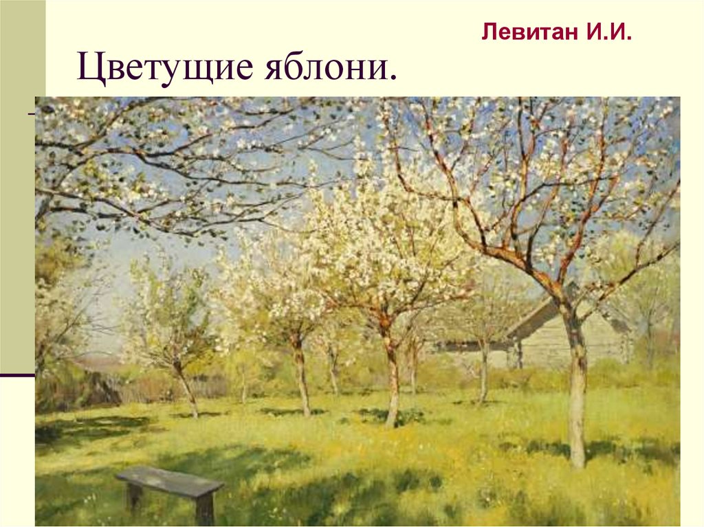 Цветущие яблони.